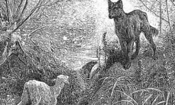 Esopo: El lobo y el cordero