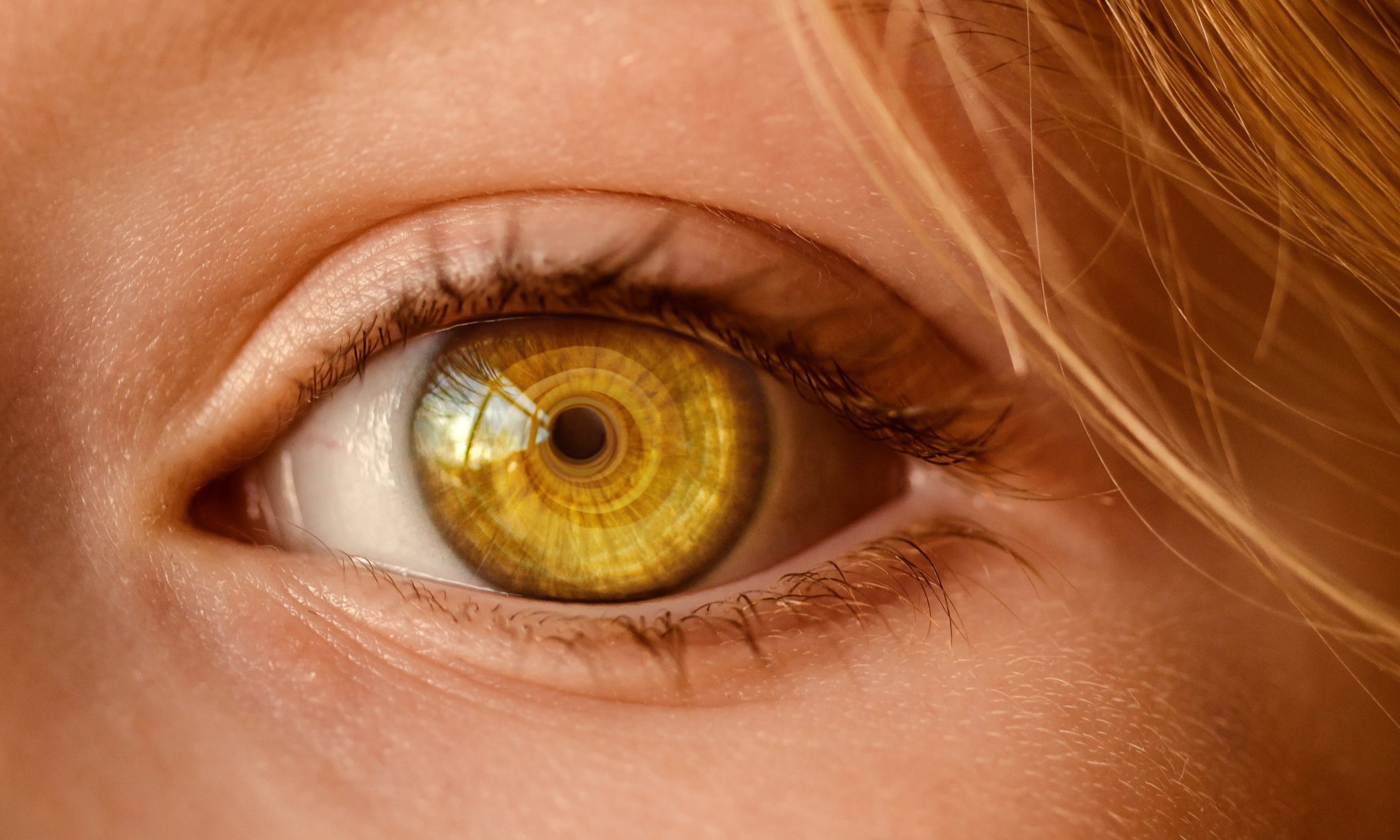 pexels-pixabay-326536 el EMDR